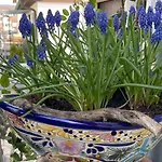 Region Esslingen - Naehe Messe - Flughafen - Stuttgart - Wohnen Und Arbeiten Auf Zeit In 120m2 Wohlfuehlatmosphaere - Ab 3 Uebernachtungen - Geeignet Fuer 4 Pers Incl - Beistellbett Moeglich - Und Tiere Willkommen - Garage F Διαμέρισμα