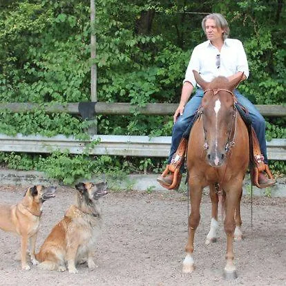Region Esslingen - Naehe Messe - Flughafen - Stuttgart - Wohnen Und Arbeiten Auf Zeit In 120m2 Wohlfuehlatmosphaere - Ab 3 Uebernachtungen - Geeignet Fuer 4 Pers Incl - Beistellbett Moeglich - Und Tiere Willkommen - Garage F * Altbach