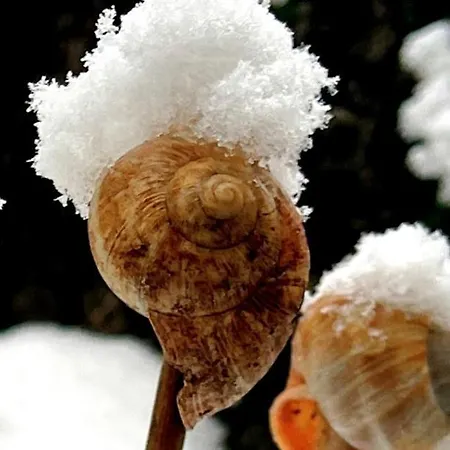 Region Esslingen - Naehe Messe - Flughafen - Stuttgart - Wohnen Und Arbeiten Auf Zeit In 120m2 Wohlfuehlatmosphaere - Ab 3 Uebernachtungen - Geeignet Fuer 4 Pers Incl - Beistellbett Moeglich - Und Tiere Willkommen - Garage F شقة