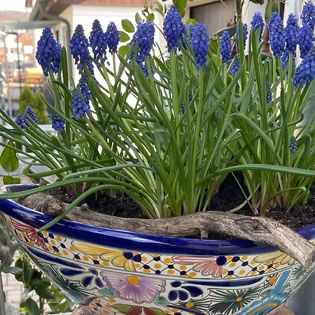 Region Esslingen - Naehe Messe - Flughafen - Stuttgart - Wohnen Und Arbeiten Auf Zeit In 120m2 Wohlfuehlatmosphaere - Ab 3 Uebernachtungen - Geeignet Fuer 4 Pers Incl - Beistellbett Moeglich - Und Tiere Willkommen - Garage F شقة